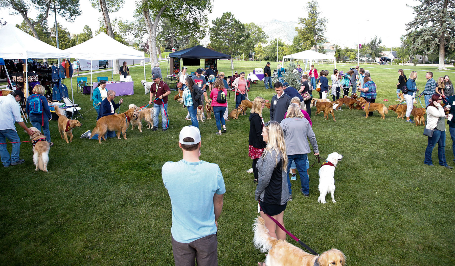 GoldenStock 2019